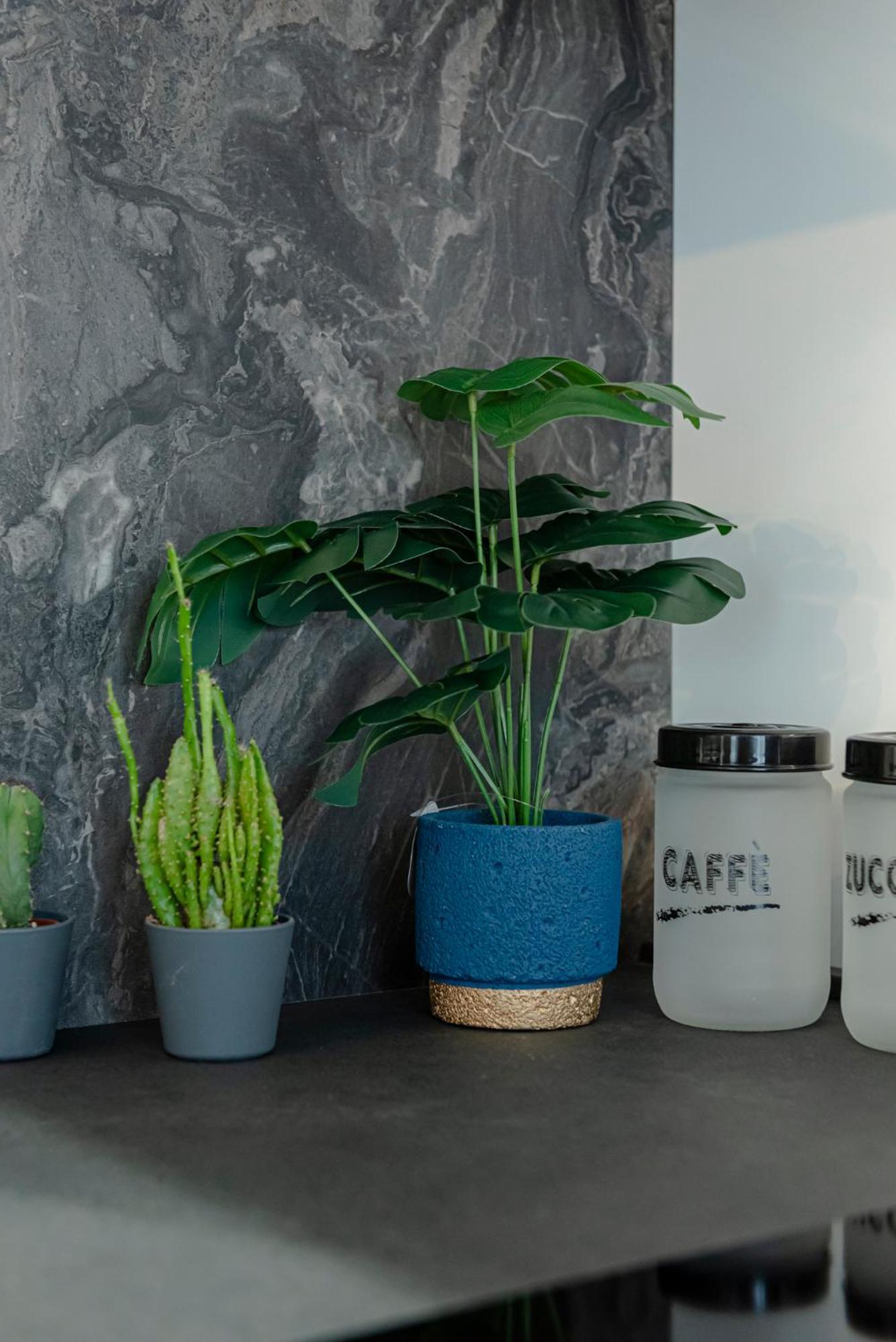 Bed & Breakfast Il Narciso Rome Buitenkant foto